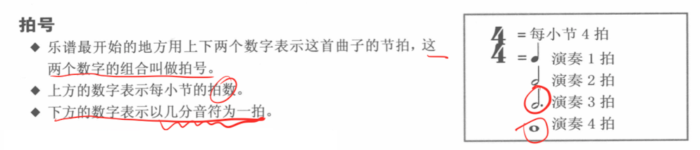 拍号