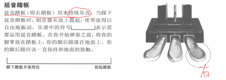 4延音踏板3拍